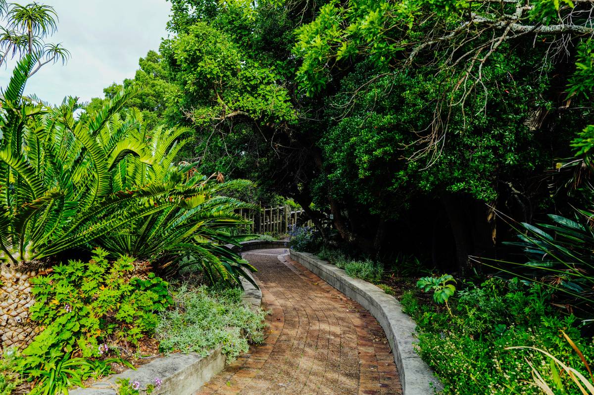 Comparison table of garden path materials showing cost, durability, installation difficulty, and climate suitability
