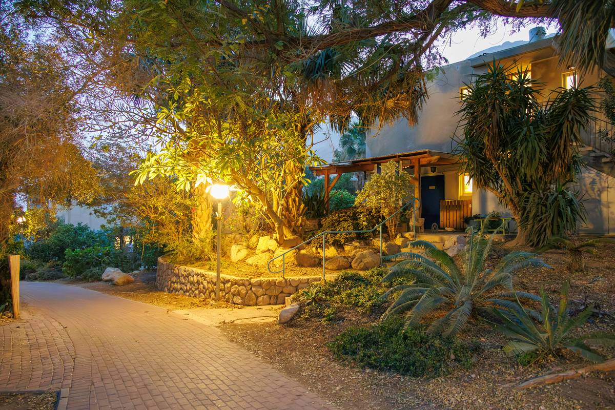 Side-by-side comparison of poorly lit vs professionally lit garden path showing even illumination, fixture spacing, and layered lighting techniques