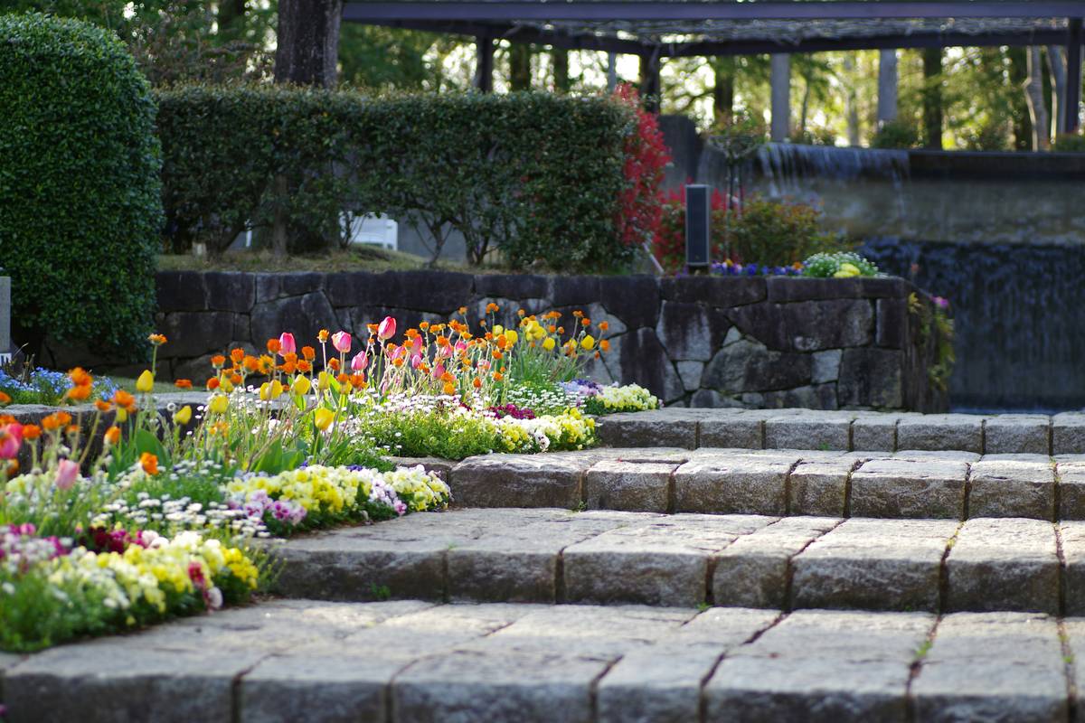 Garden Path Planting Ideas That Actually Work (Without Wasting Your Time or Money)
