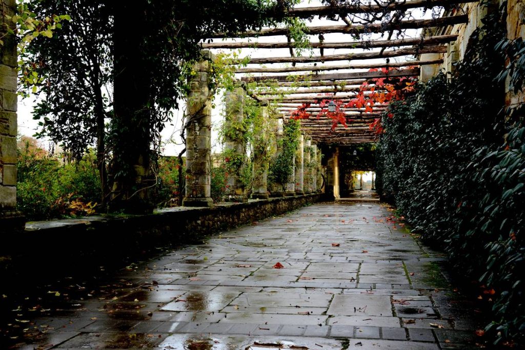 gardening australia garden path: How to Build a Functional & Beautiful Walkway in Our Harsh Climate