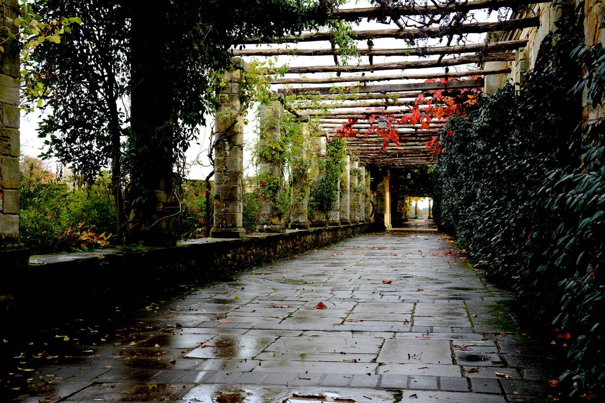 gardening australia garden path: How to Build a Functional & Beautiful Walkway in Our Harsh Climate