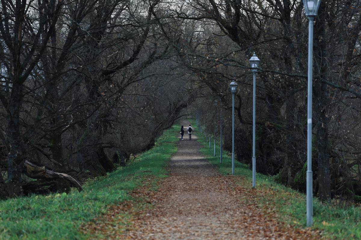 How to Master Garden Pathway Lighting Without Tripping Over Bad Advice (or Your Own Cords)