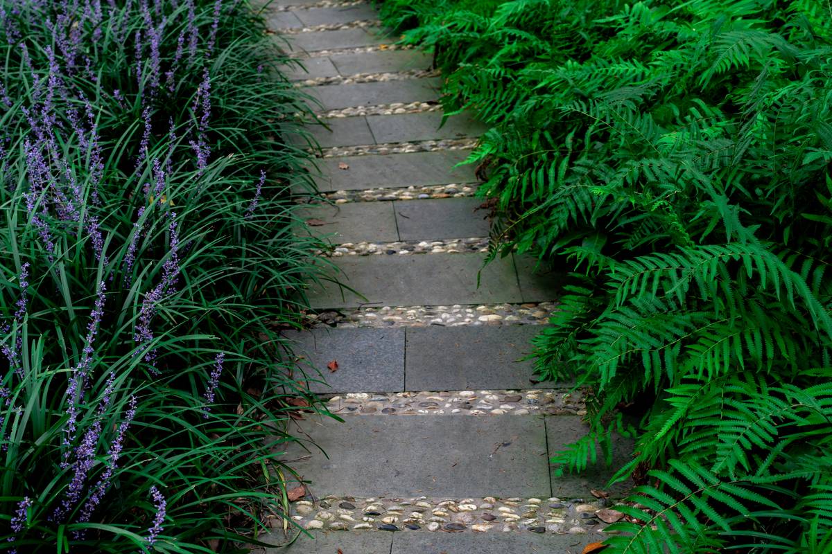 Landscaping Garden Path: How to Design a Walkway That Wows (And Doesn’t Wash Away)