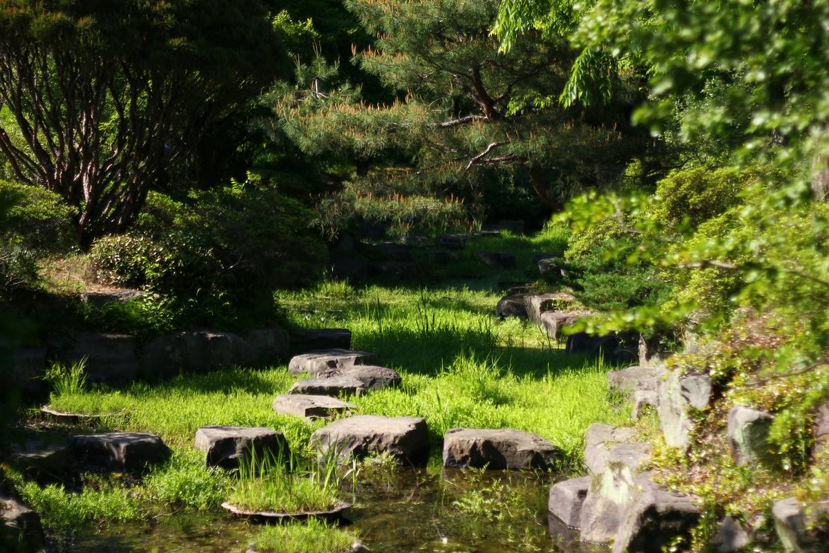 27 Garden Path Ideas That’ll Transform Your Yard From “Meh” to Magical