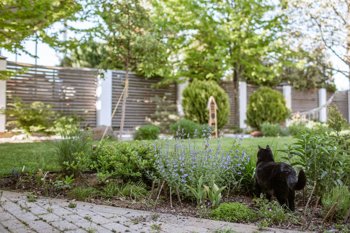 how to create a garden path with professional-grade edging and surface installation