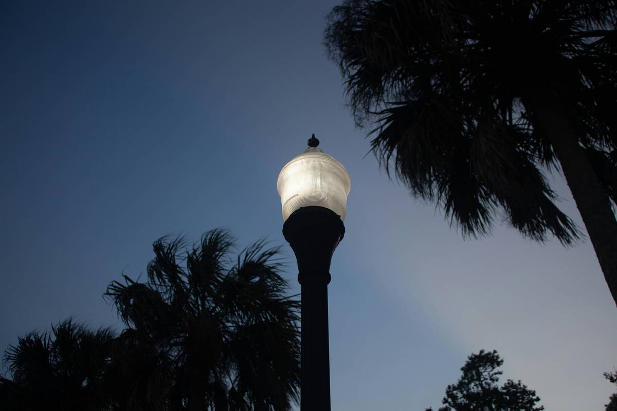 Garden Landscape Lighting Ideas That Actually Work
