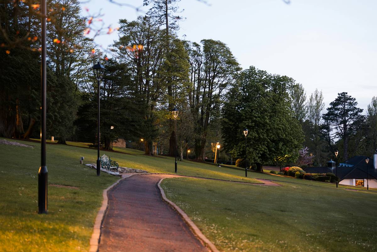 garden landscape lighting ideas showing 2700K uplighting on a Japanese maple with hidden well lights