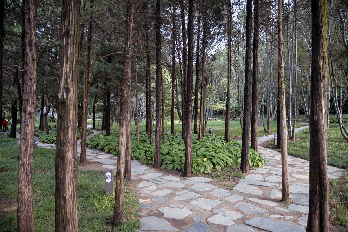 Garden Path Theory: Rethinking How Outdoor Walkways Shape Human Behavior