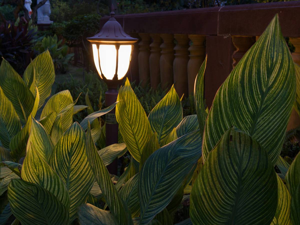 garden landscape lighting ideas with staggered LED path lights along a curved stone walkway
