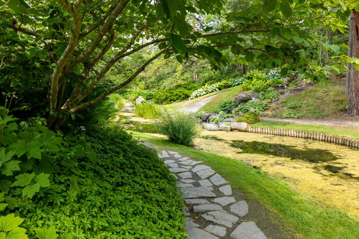 Path and Garden Edging: The Secret to a Crisp, Weed-Free Outdoor Oasis