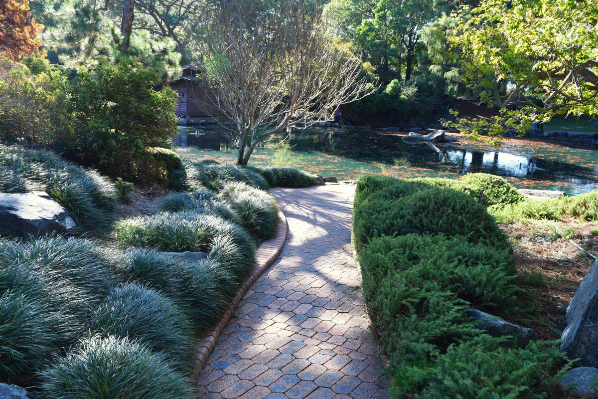 Curved garden path with strategic plantings exemplifying effective garden path theory
