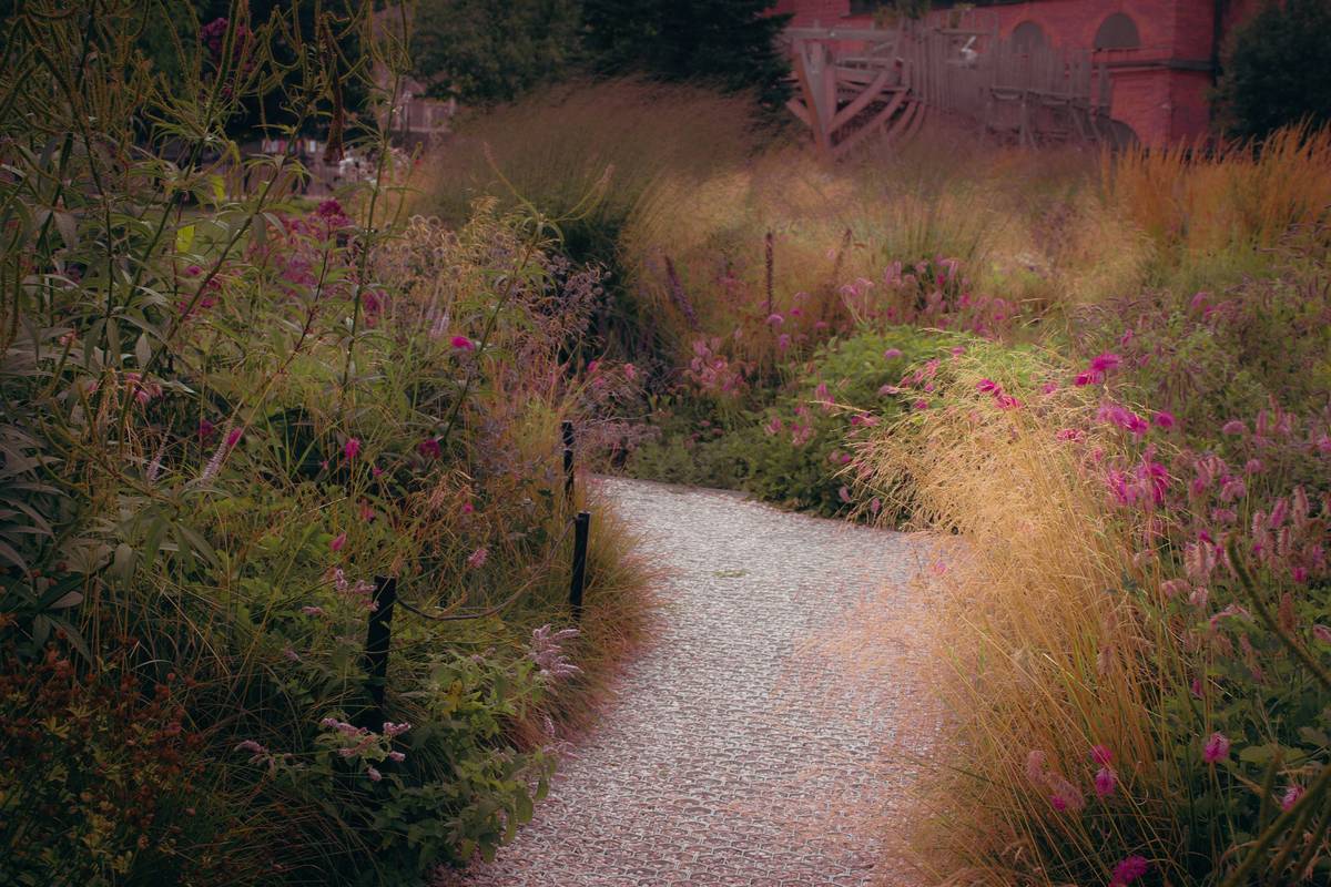 Side-by-side photo: left shows overgrown garden path with grass invading gravel; right shows same path after professional edging with crisp metal border