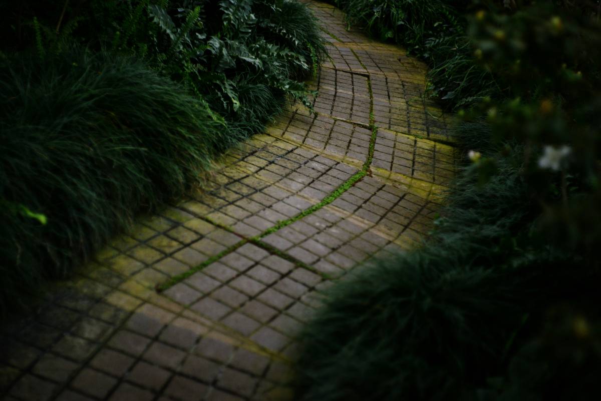What’s the Ideal Garden Path Width in the UK? A Practical Guide for Homeowners