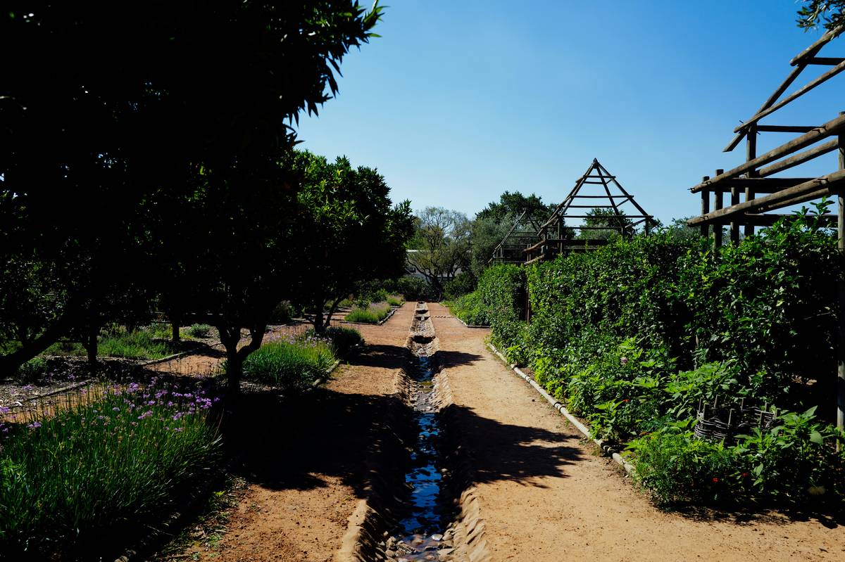 Why Your Dream Garden Isn’t Complete Without the Garden Path Clarington