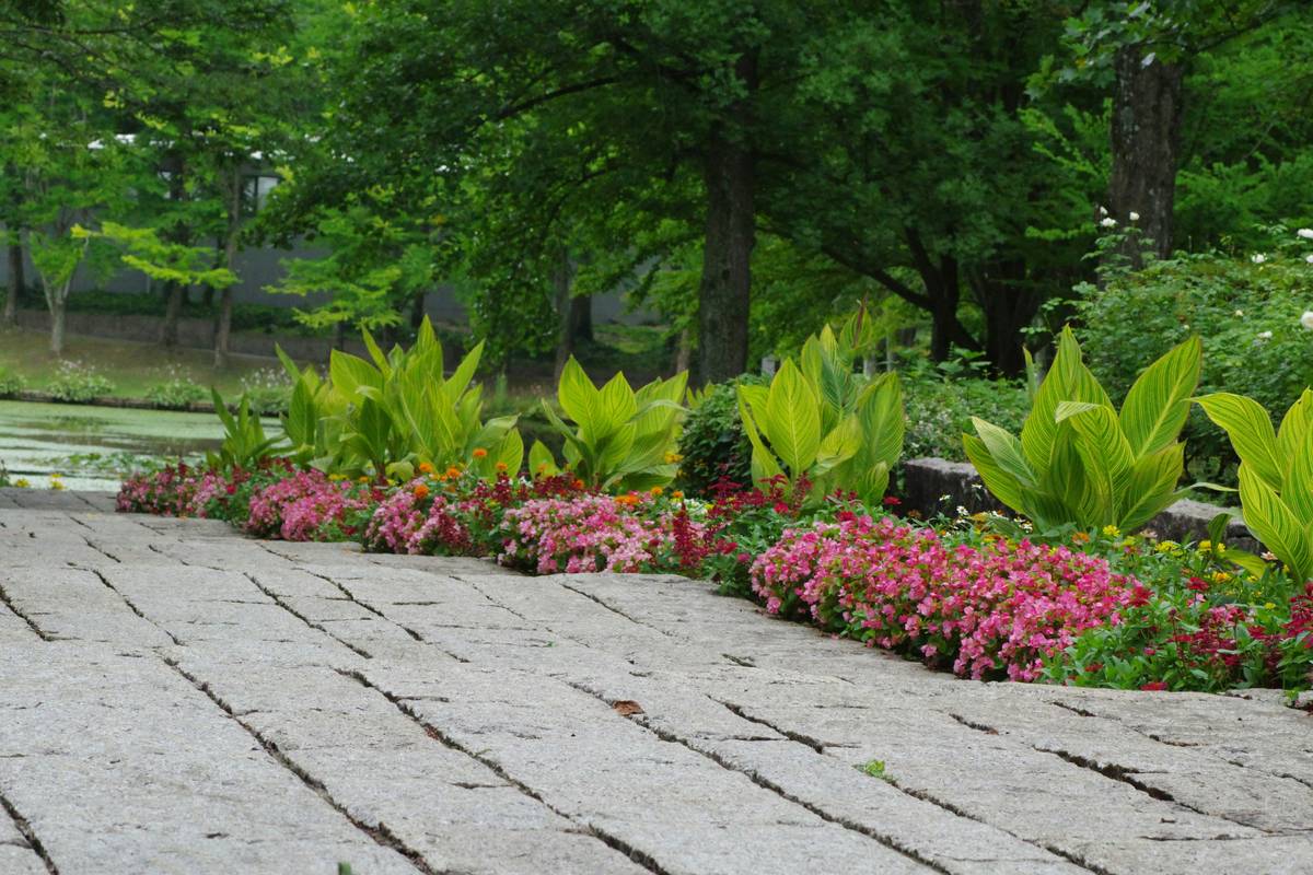Garden Path Edging UK: 7 Proven Tips to Avoid Costly Mistakes