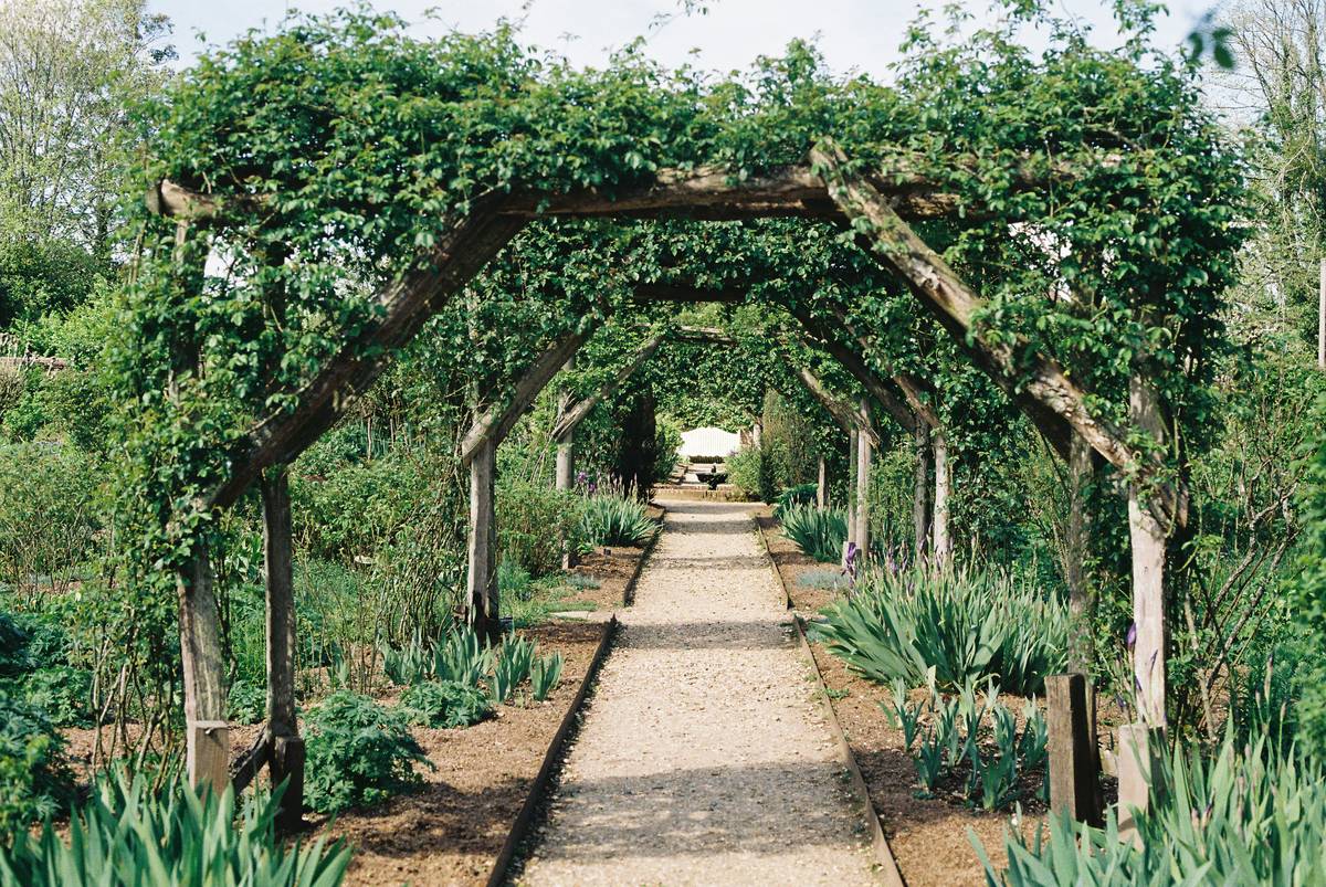 ideas for a garden path featuring uneven brick path with weeds growing through gaps