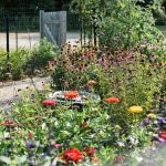 A Garden Path Flower Arrangement: 7 Proven Tips to Avoid Costly Mistakes