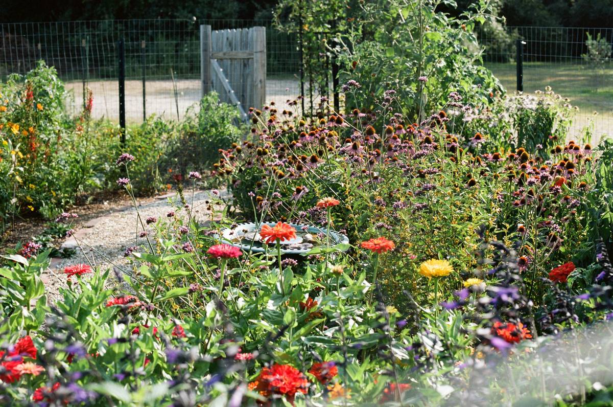 A Garden Path Flower Arrangement: 7 Proven Tips to Avoid Costly Mistakes
