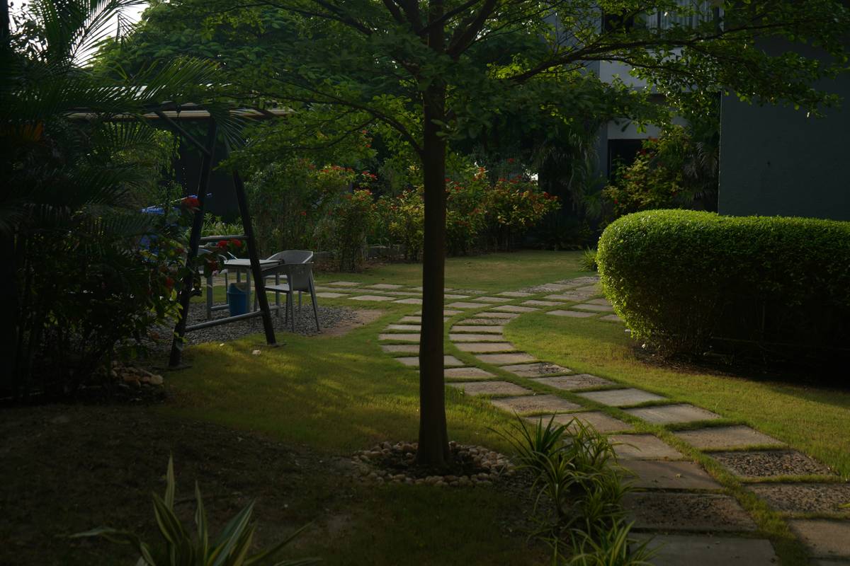 Stone path in a garden winding through desert landscaping with cacti and succulents