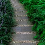 Creating a Garden Path: 7 Proven Tips to Avoid Costly Mistakes