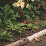Edging for Garden Path: 7 Proven Tips to Avoid Costly Mistakes