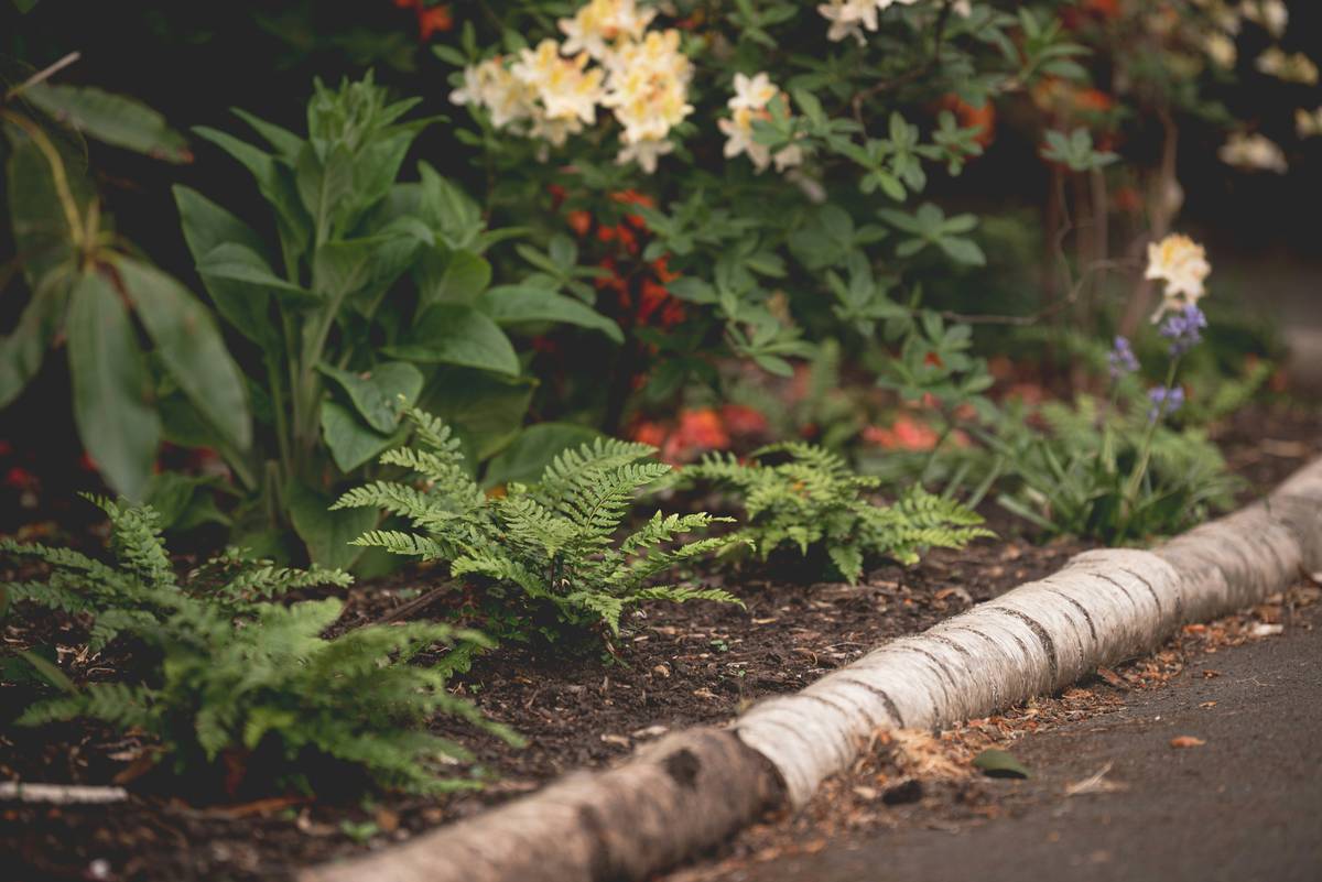Edging for Garden Path: 7 Proven Tips to Avoid Costly Mistakes