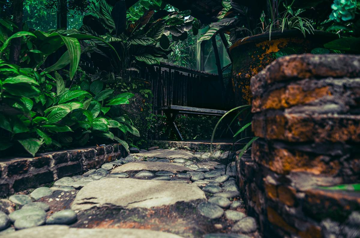 Path in a Garden: 7 Proven Tips to Avoid Costly Mistakes